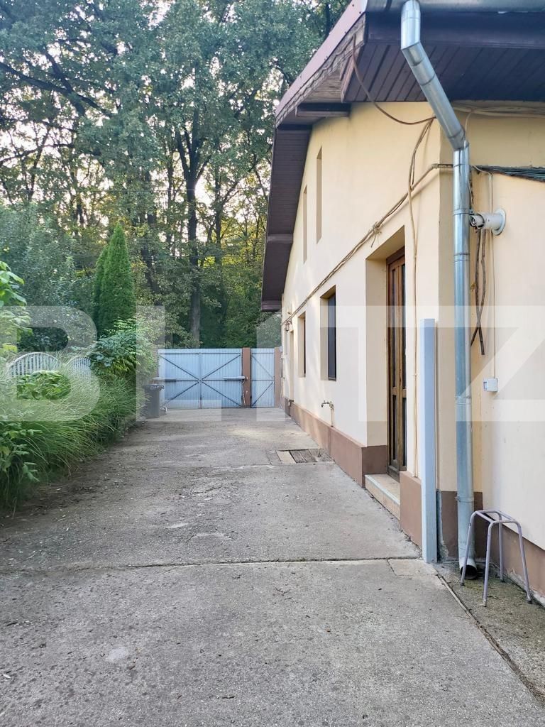 Spațiu comercial de vânzare Ghirodei - 101695SVC | BLITZ Timișoara | Poza3