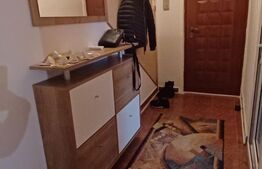 Apartament 2 camere, 55 mp, zona Lipovei 