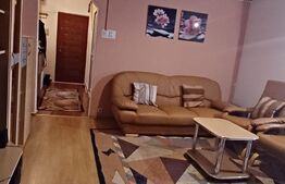 Apartament 2 camere, 55 mp, zona Lipovei 