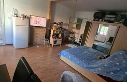 Apartament o camera, la casa, cu curte, 36 mp, aproape de Fabrica de Bere