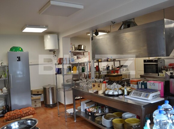 Casa de închiriat 5 camere Giroc - 101773CI | BLITZ Timișoara | Poza14