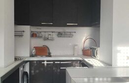 Apartament frumos, pe doua niveluri, 2 camere, zona Județean