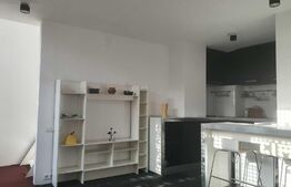 Apartament frumos, pe doua niveluri, 2 camere, zona Județean