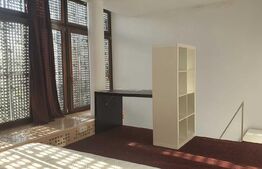 Apartament frumos, pe doua niveluri, 2 camere, zona Județean