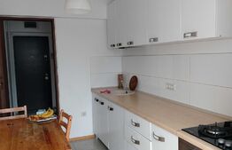 Apartament de 2 camere, cochet, 48 mp, zona Gara de Nord 