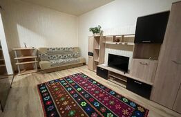 Garsoniera, 24 mp, langa Muzeul Satului