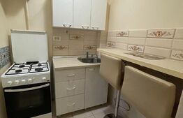 Garsoniera, 24 mp, langa Muzeul Satului