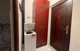 Garsoniera, 24 mp, aproape de Muzeul Satului