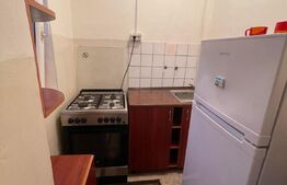 Garsoniera, 24 mp, aproape de Muzeul Satului