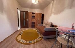 Garsoniera, 24 mp, aproape de Muzeul Satului