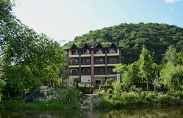 Pensiune D + P + 2E + M cu 22 camere, 1.000 mp teren, Băile Herculane