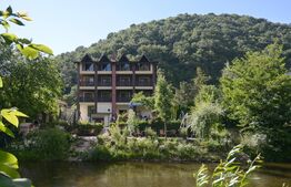 Pensiune D + P + 2E + M cu 22 camere, 1.000 mp teren, Băile Herculane