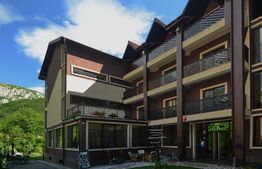 Pensiune D + P + 2E + M cu 22 camere, 1.000 mp teren, Băile Herculane