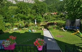 Pensiune D + P + 2E + M cu 22 camere, 1.000 mp teren, Băile Herculane