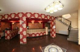 Pensiune D + P + 2E + M cu 22 camere, 1.000 mp teren, Băile Herculane