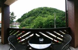 Pensiune D + P + 2E + M cu 22 camere, 1.000 mp teren, Băile Herculane