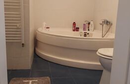 Oportunitate! Penthouse spatios, 110 mp, luminos, zona Odobescu