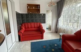 Casa individuala, 378 mp, teren aferent de 1093 mp, Giarmata-Vii