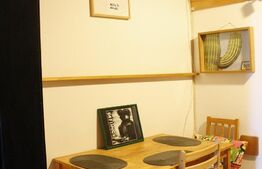 Studio, 36 mp, zona Centrala