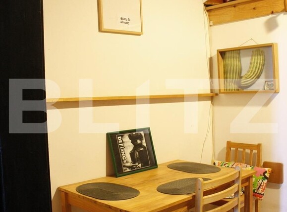 Garsonieră de închiriat Central - 101933AI | BLITZ Timișoara | Poza3