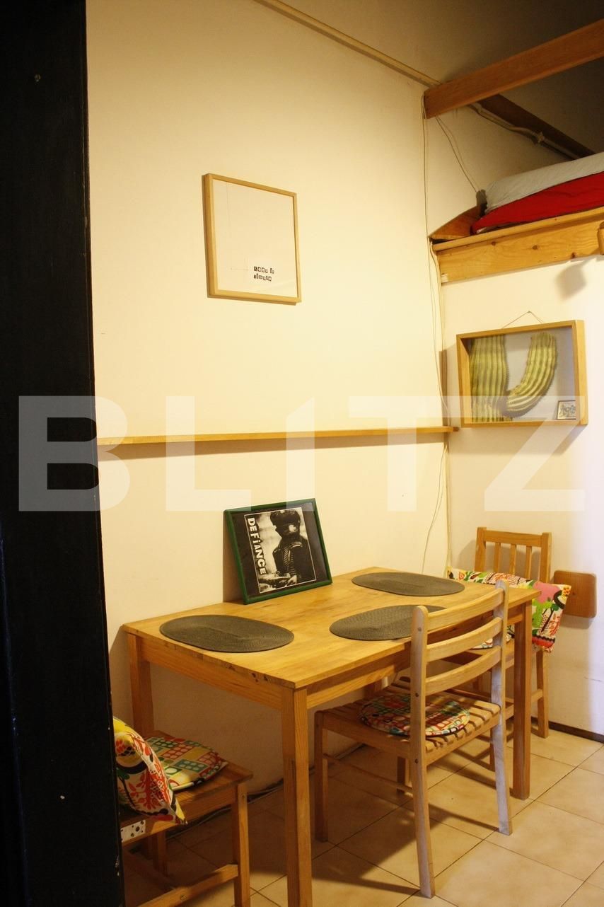 Garsonieră de închiriat Central - 101933AI | BLITZ Timișoara | Poza3
