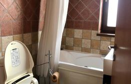 Apartament tip penthouse, 3 camere, la 10 minute de Iulius Town 