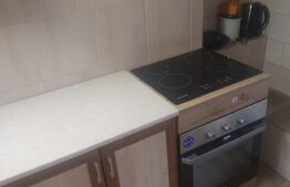 Apartament pe 2 niveluri, 2 camere, zona Brâncoveanu