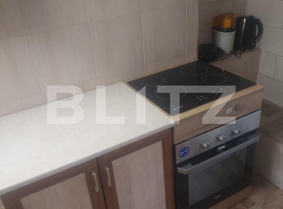 Apartament de închiriat 2 camere Brancoveanu - 101971AI | BLITZ Timișoara | Poza7
