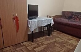 Garsoniera, 25 mp, zona Take Ionescu