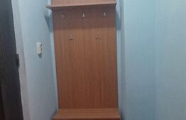 Garsoniera, 25 mp, zona Take Ionescu