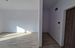 Apartament cu o camera, etaj I, Giroc Sat