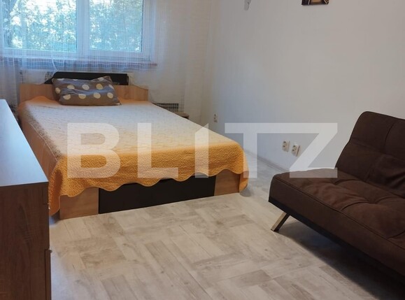 Apartament de vânzare 4 camere Aradului - 102118AV | BLITZ Timișoara | Poza6