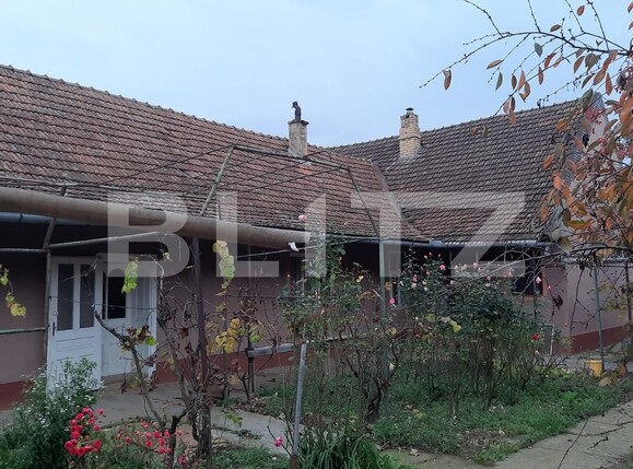 Casa de vânzare 5 camere Sacalaz - 102125CV | BLITZ Timișoara | Poza9