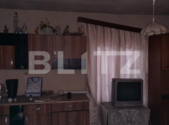 Casa de vânzare 5 camere Sacalaz - 102125CV | BLITZ Timișoara | Poza4