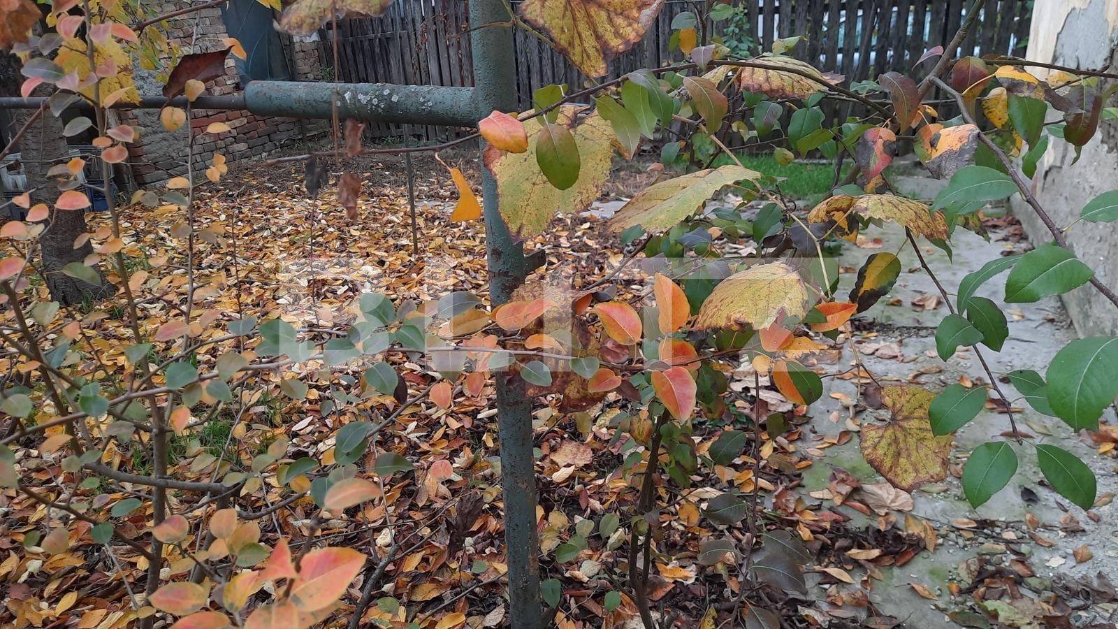 Casa de vânzare 5 camere Sacalaz - 102125CV | BLITZ Timișoara | Poza2