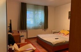 Casa  de 5 camere, 120 mp, 250 mp teren, Plopi