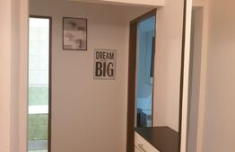 Apartament de 2 camere, 55 mp, pet-friendly, la 5 minute de Iulius Town 