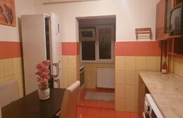 Apartament de 2 camere, 55 mp, pet-friendly, la 5 minute de Iulius Town 