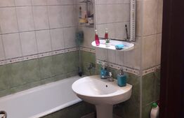 Apartament de 2 camere, 55 mp, pet-friendly, la 5 minute de Iulius Town 