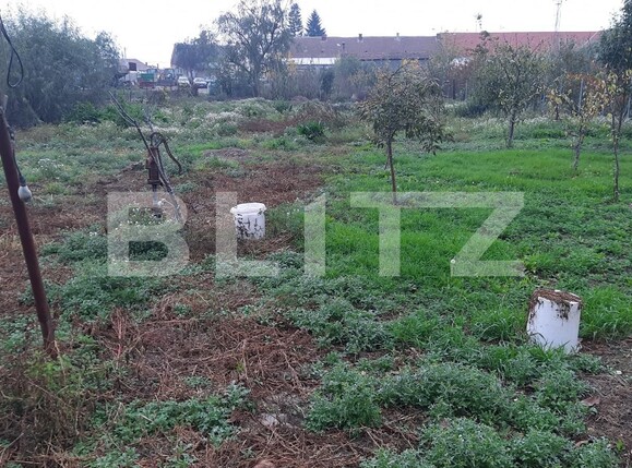 Teren de vânzare Sacalaz - 102156TV | BLITZ Timișoara | Poza2