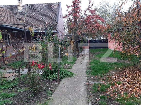 Teren de vânzare Sacalaz - 102156TV | BLITZ Timișoara | Poza3