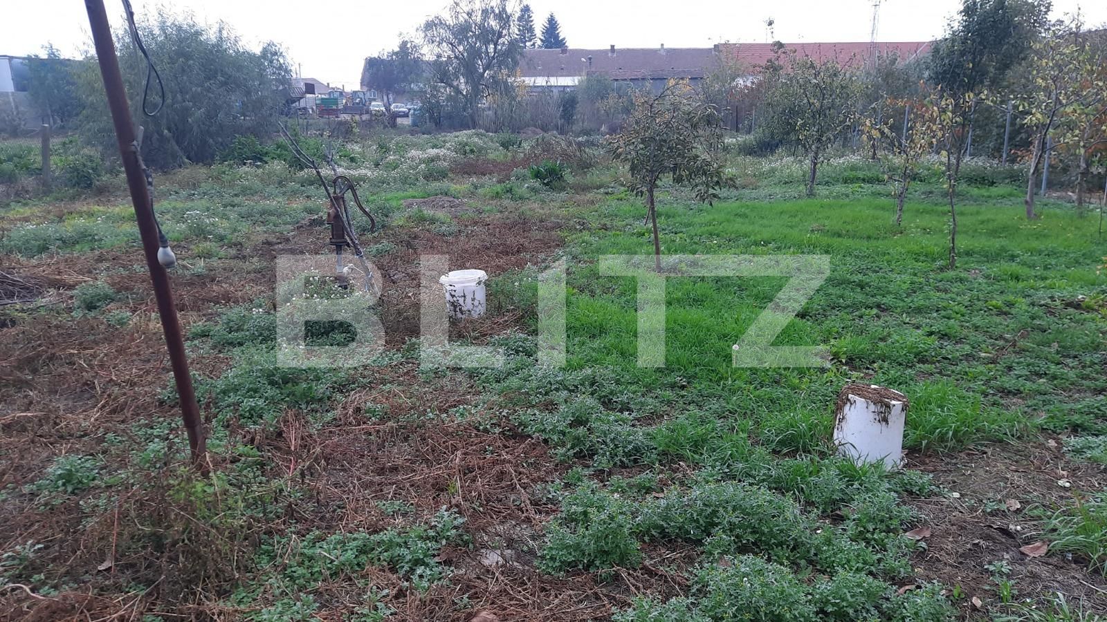 Teren de vânzare Sacalaz - 102156TV | BLITZ Timișoara | Poza2