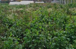 Casa de vanzare, 126 mp construiti, anexa 29 mp, teren 1378 mp