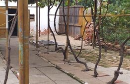 Casa 3 camere, 80 mp, Dambovita 