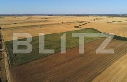 Teren mare, 16.250 mp, pentru investiti viitoare, Giroc