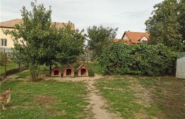 Casa individuala, suprafata 210 mp, teren de 650 mp, Freidorf