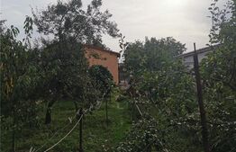 Casa individuala, suprafata 210 mp, teren de 650 mp, Freidorf