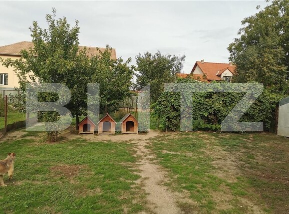 Casa de vânzare 5 camere Freidorf - 102295CV | BLITZ Timișoara | Poza2