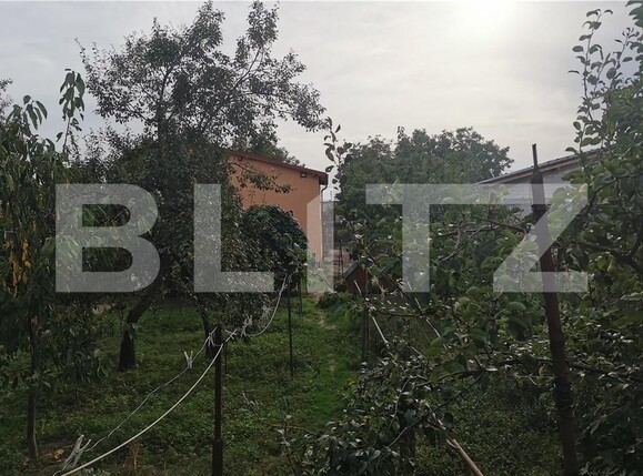 Casa de vânzare 5 camere Freidorf - 102295CV | BLITZ Timișoara | Poza3