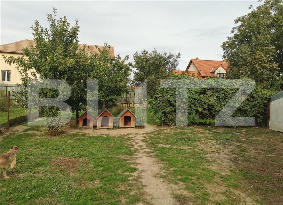 Casa de vânzare 5 camere Freidorf - 102295CV | BLITZ Timișoara | Poza2